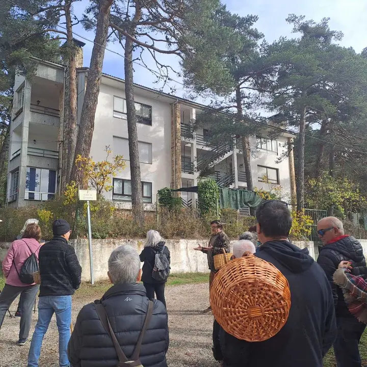 JORNADAS MICOLOGICAS NAVALENO 2025 (13)