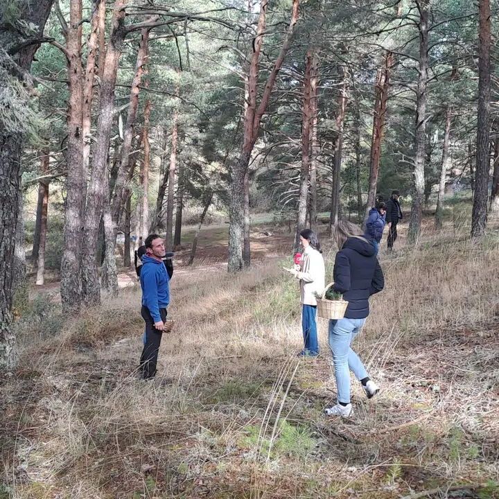 JORNADAS MICOLOGICAS NAVALENO 2025 (15)