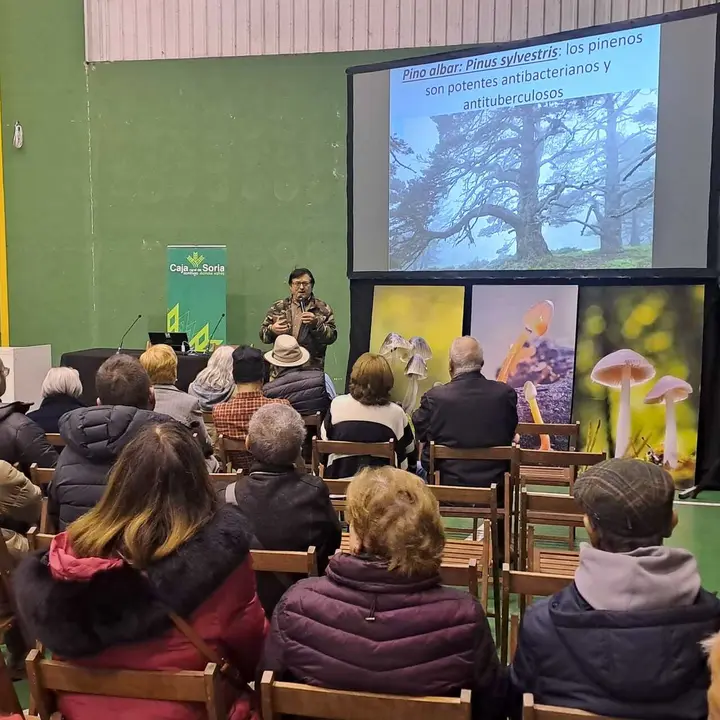 JORNADAS MICOLOGICAS NAVALENO 2025 (23)