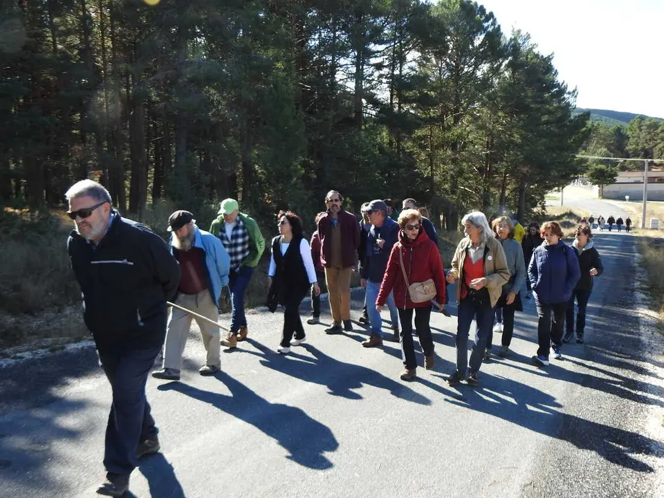 JORNADAS MICOLOGICAS NAVALENO 2025 (35)