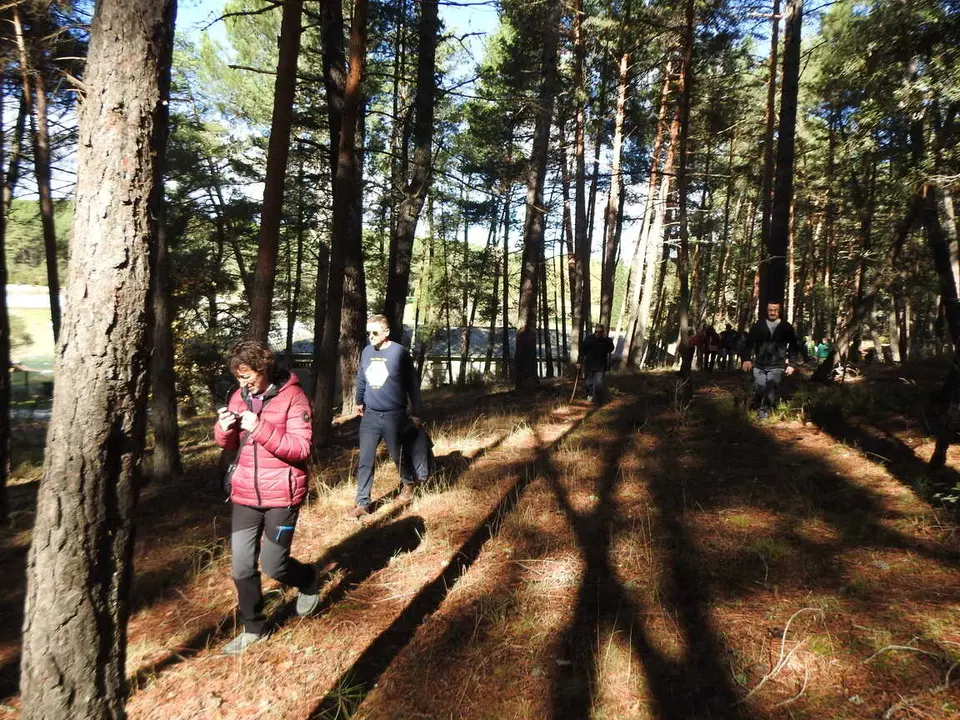 JORNADAS MICOLOGICAS NAVALENO 2025 (36)