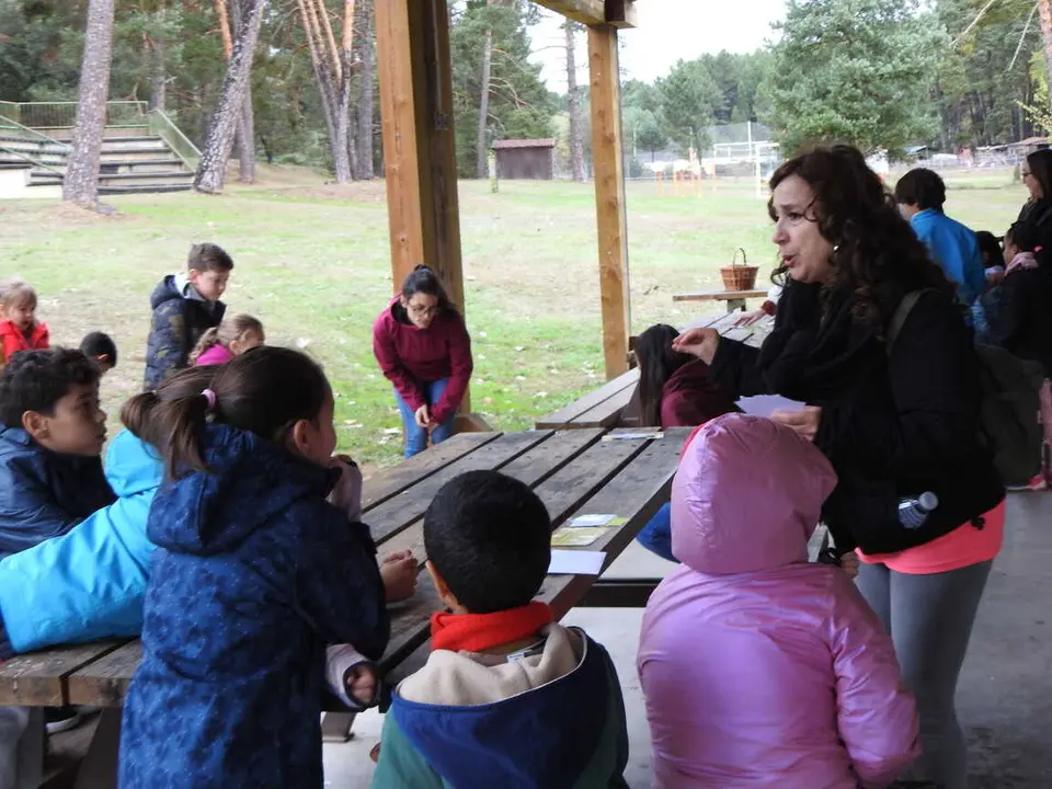 JORNADAS MICOLOGICAS NAVALENO 2025 (41)