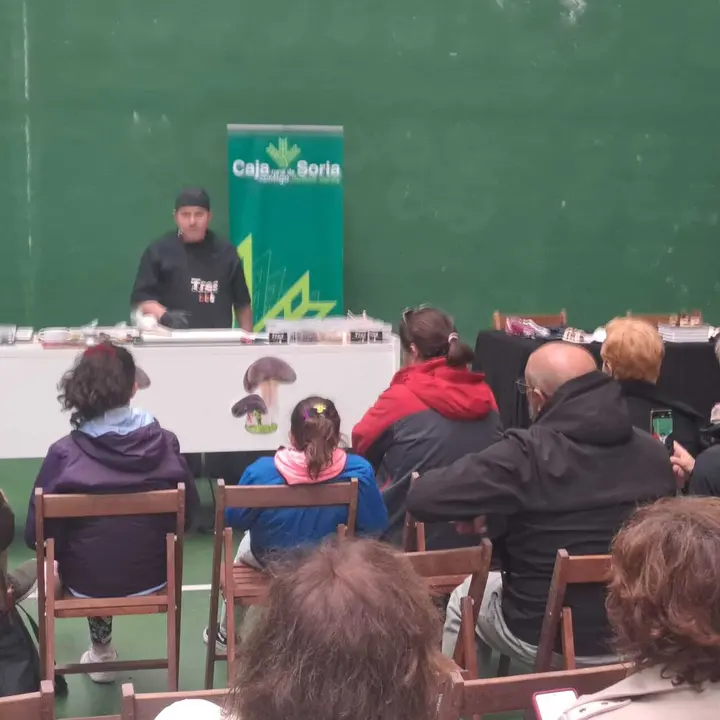 JORNADAS MICOLOGICAS NAVALENO 2025 (47)