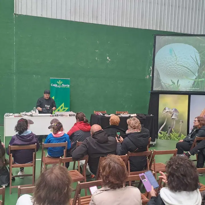 JORNADAS MICOLOGICAS NAVALENO 2025 (49)