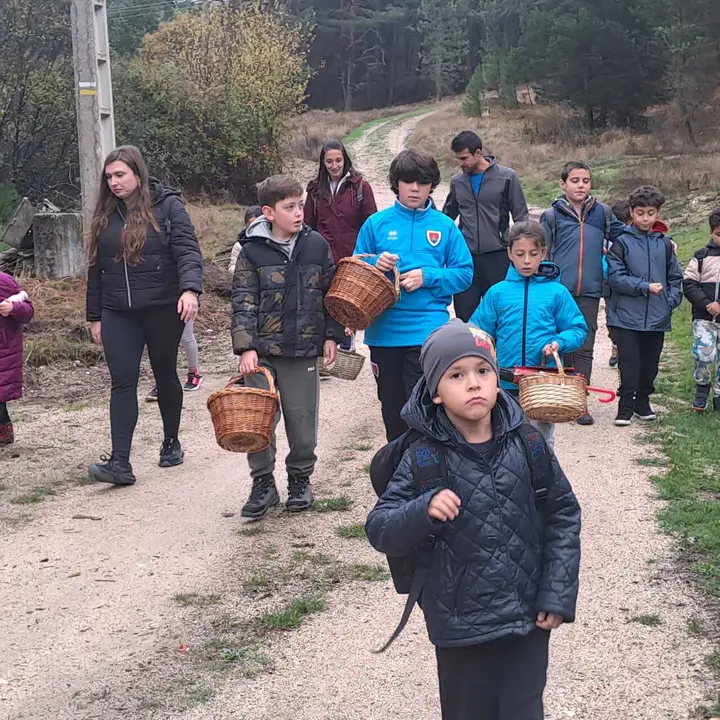 JORNADAS MICOLOGICAS NAVALENO 2025 (58)