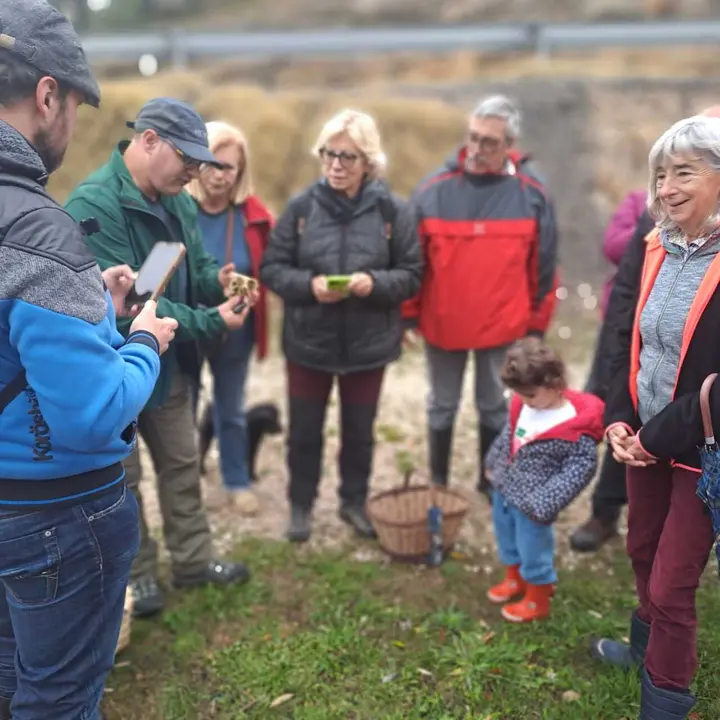 JORNADAS MICOLOGICAS NAVALENO 2025 (59)