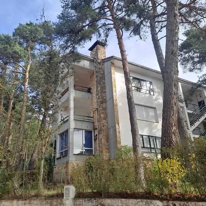 JORNADAS MICOLOGICAS NAVALENO 2025 (62)