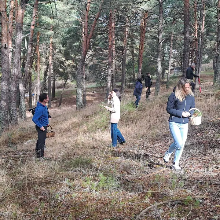 JORNADAS MICOLOGICAS NAVALENO 2025 (64)