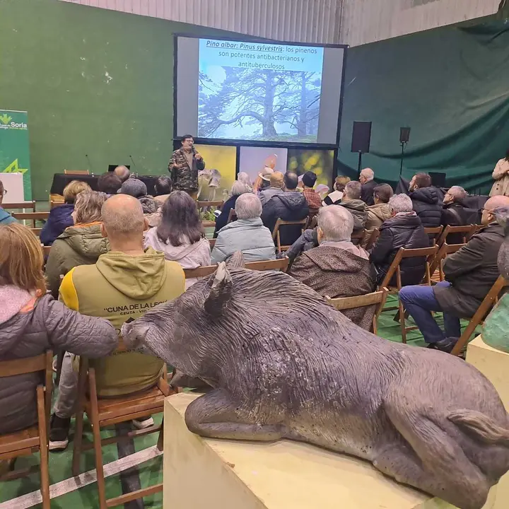 JORNADAS MICOLOGICAS NAVALENO 2025 (67)