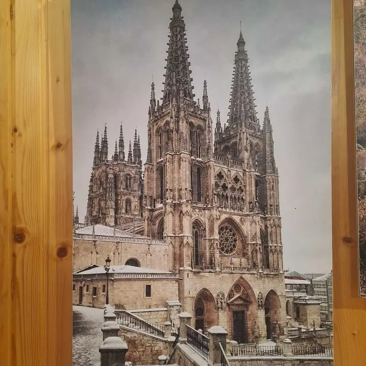 JORNADAS MICOLOGICAS NAVALENO 70 (2)