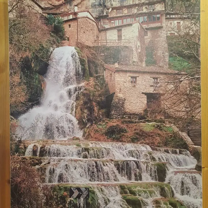 JORNADAS MICOLOGICAS NAVALENO 70 (14)