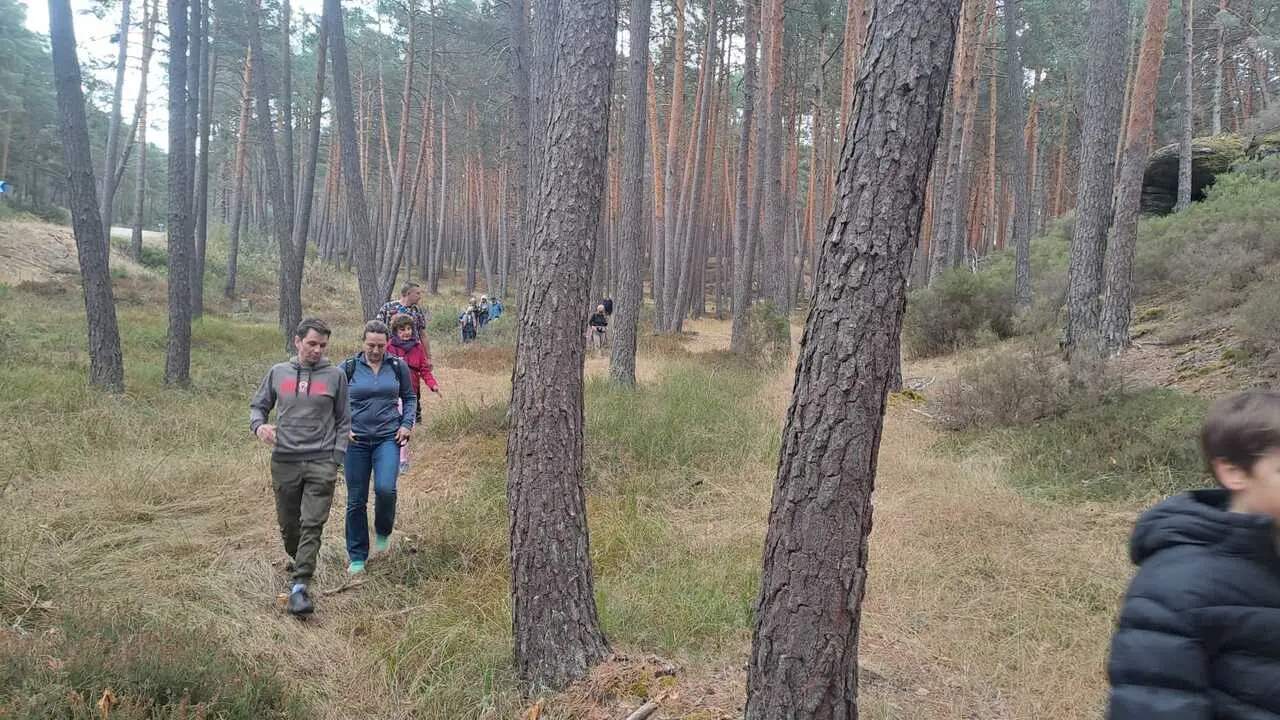 JORNADAS MICOLOGICAS NAVALENO 70 (15)