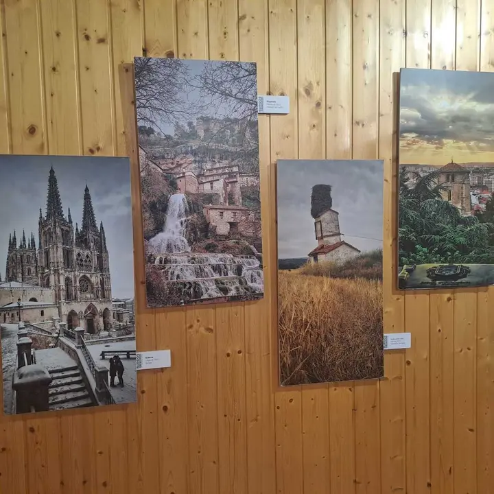 JORNADAS MICOLOGICAS NAVALENO 70 (23)