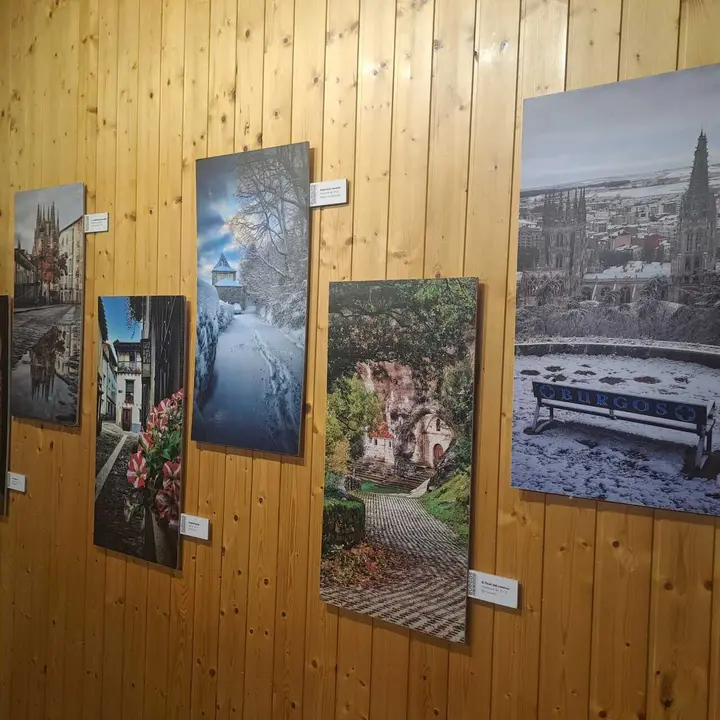 JORNADAS MICOLOGICAS NAVALENO 70 (27)