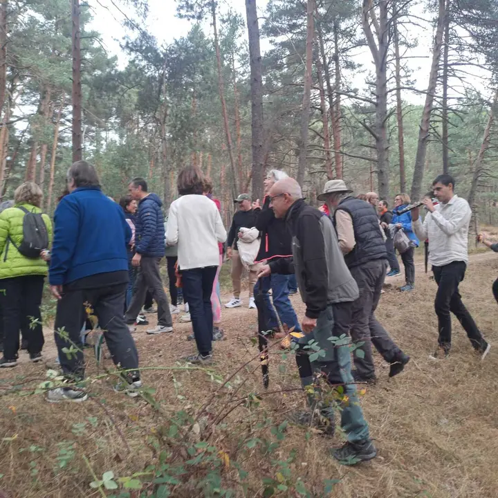 JORNADAS MICOLOGICAS NAVALENO 70 (31)