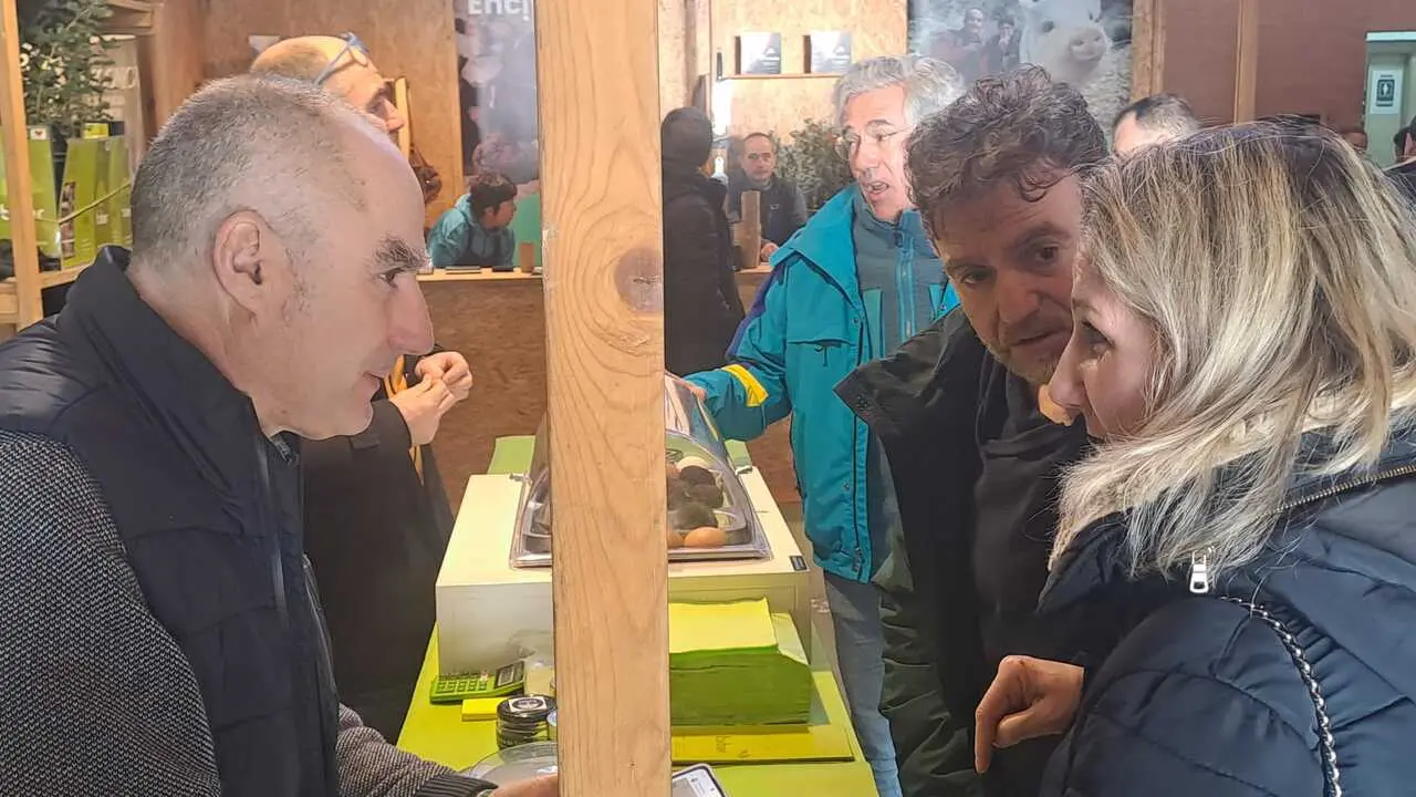 23 FERIA DE LA TRUFA EN ABEJAR (22)