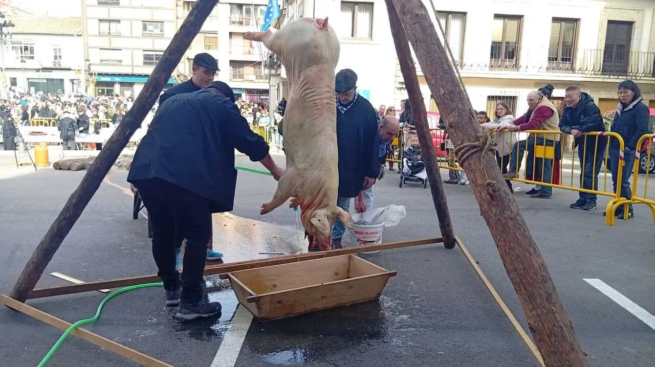 MATANZA EN SAN LEONARDO 2026 (28)