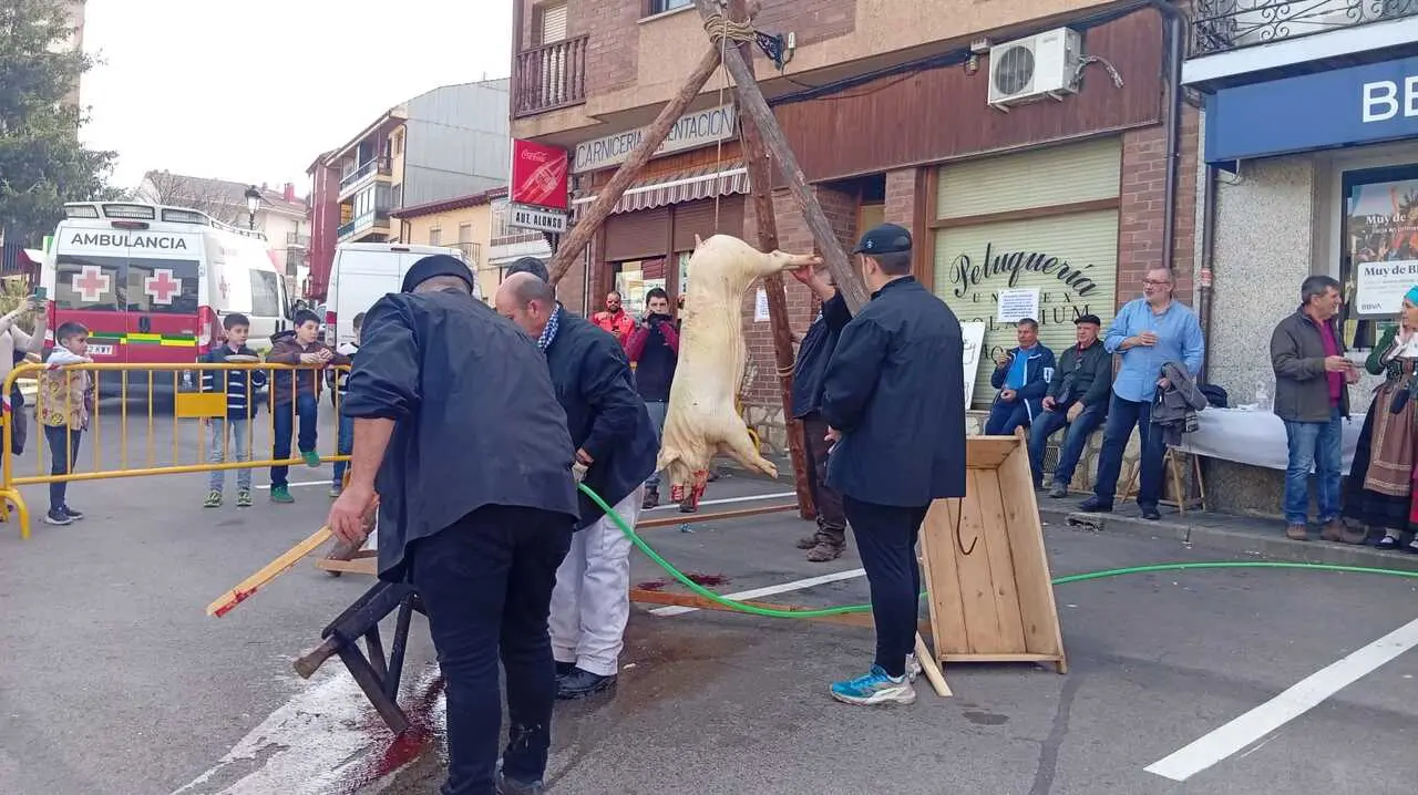 MATANZA EN SAN LEONARDO 2026 (67)