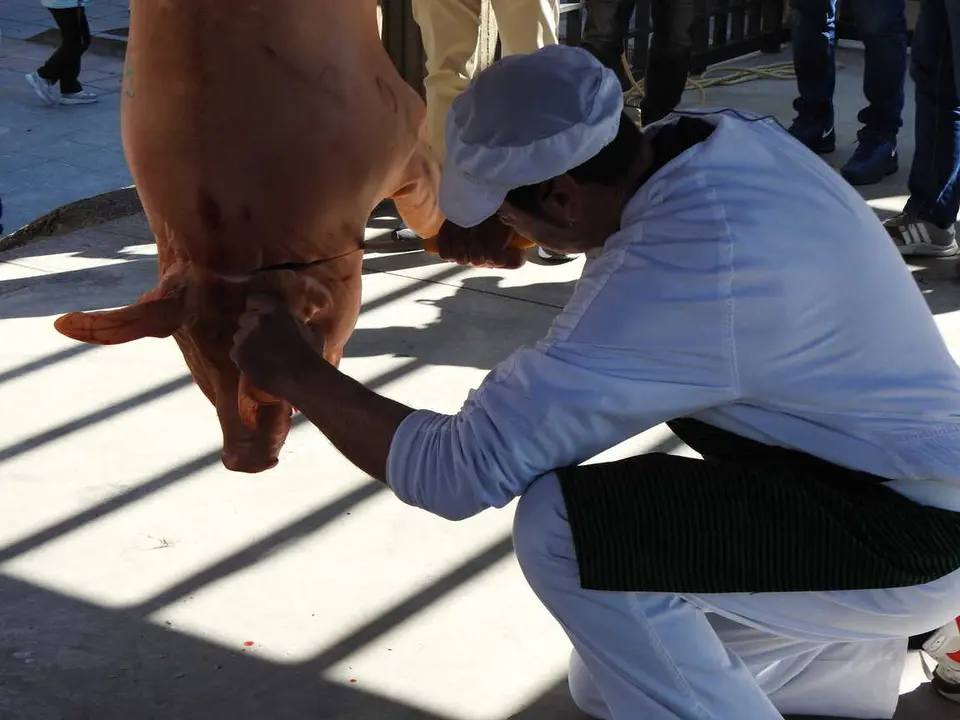 XI FERIA DEL CHORIZO EN COVALEDA (27)