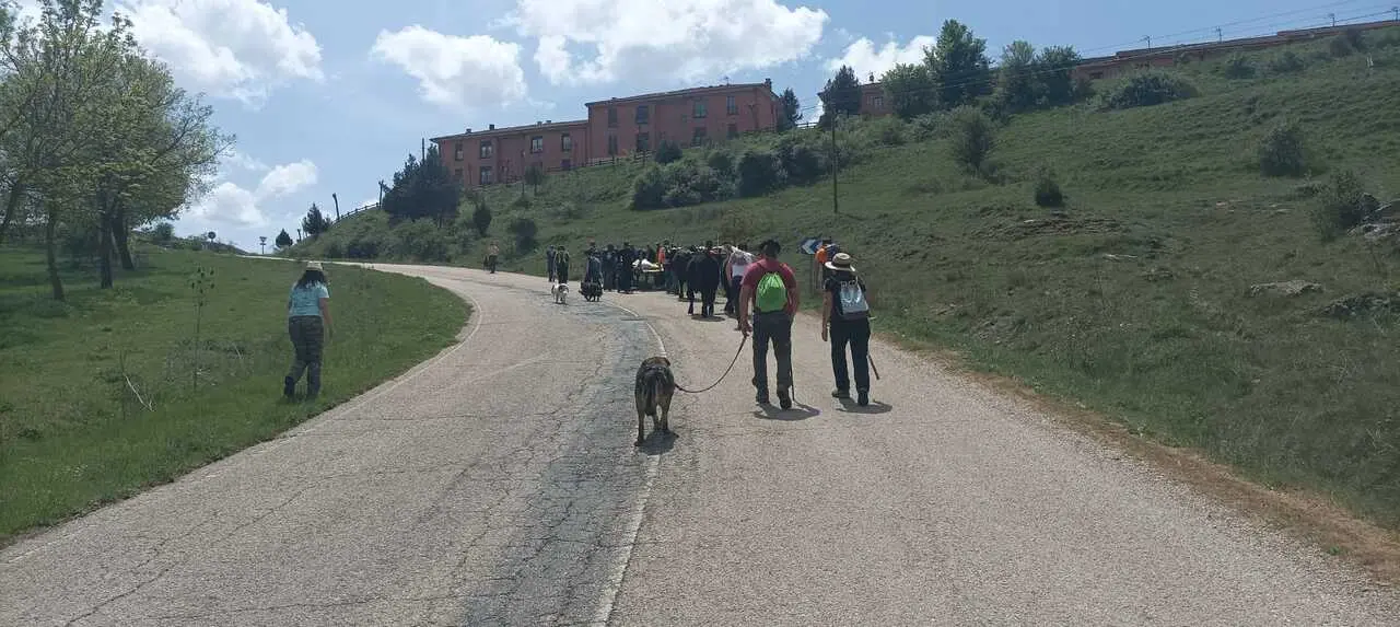 RUTA CARRETERIL 2026 (29) - copia