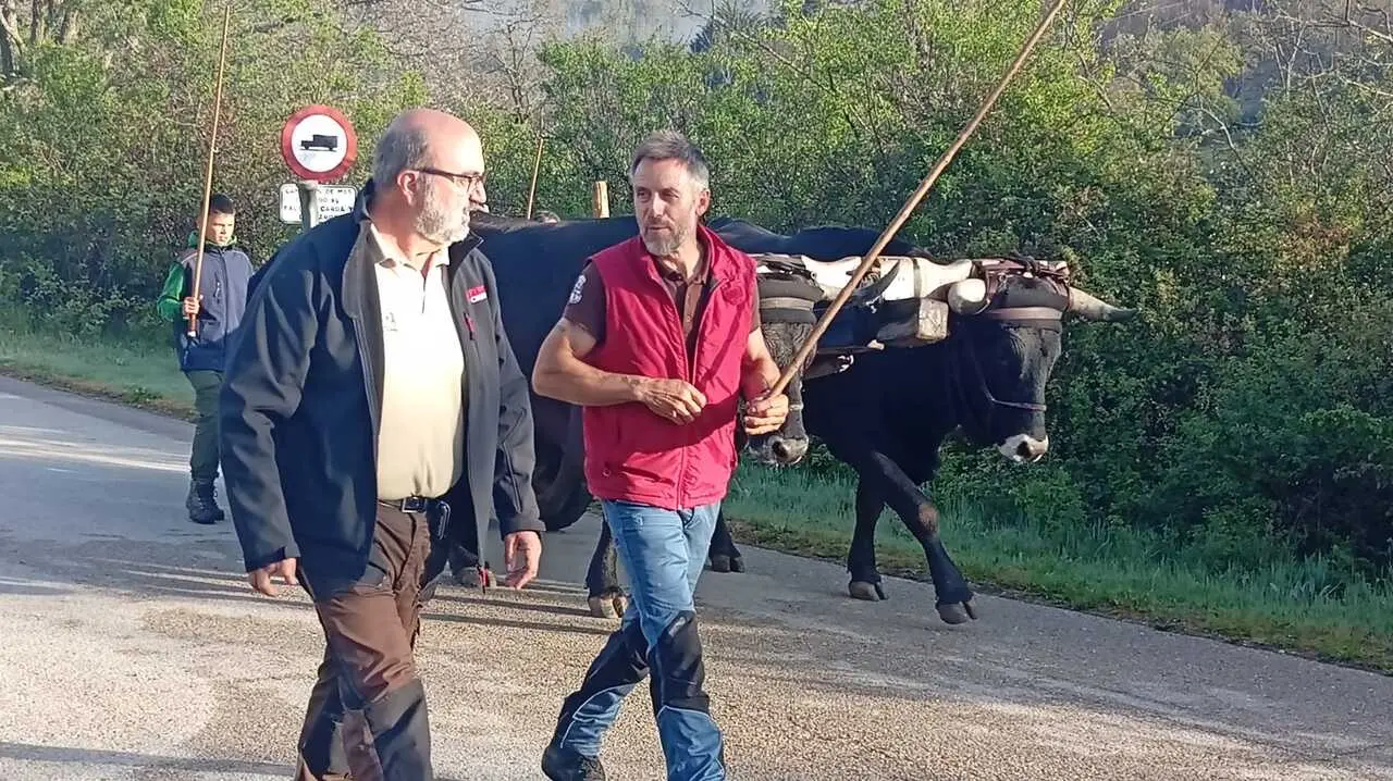 RUTA CARRETERIL 2026 (34) - copia