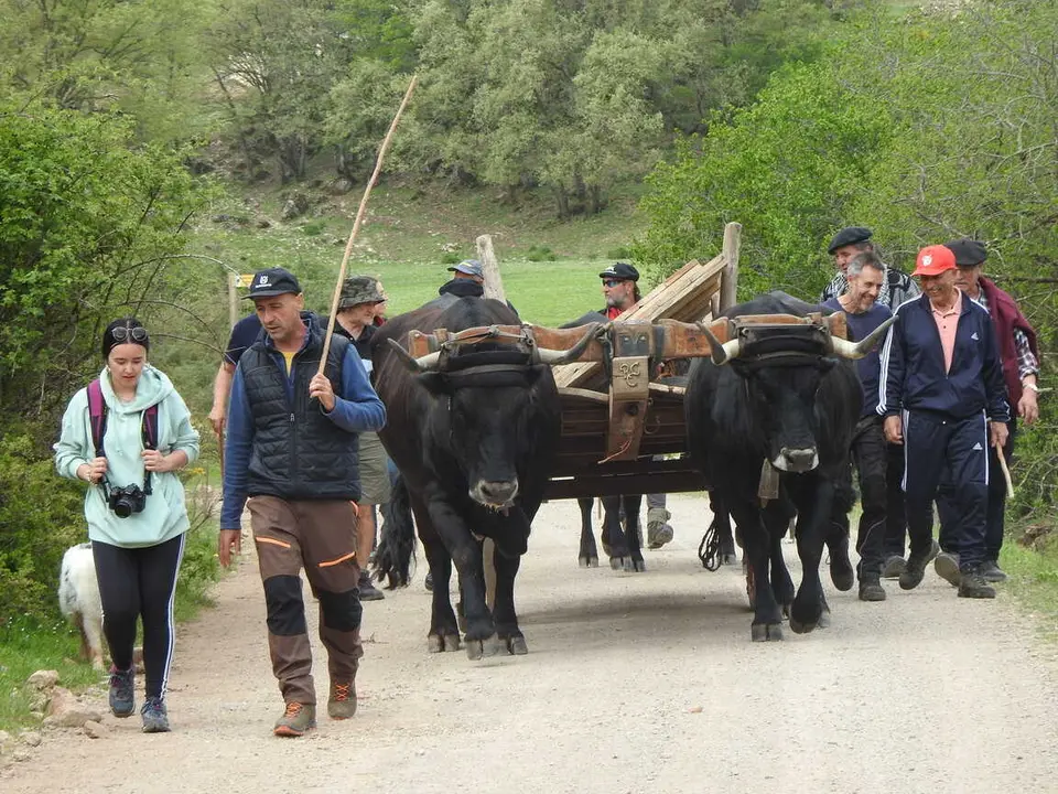 RUTA CARRETERIL 2026 (50)