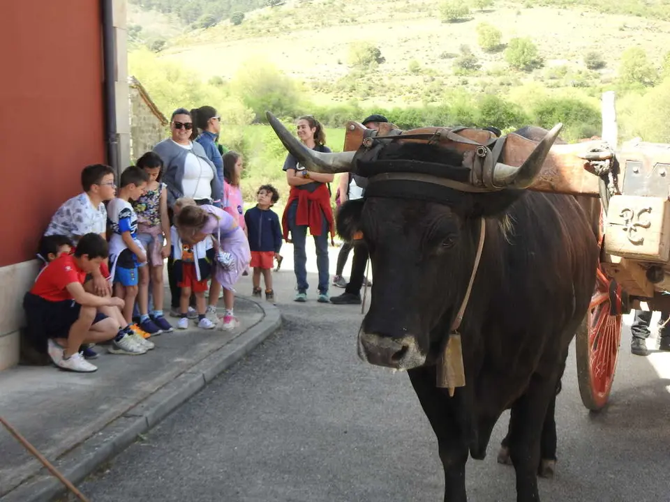 RUTA CARRETERIL 2026 (59)
