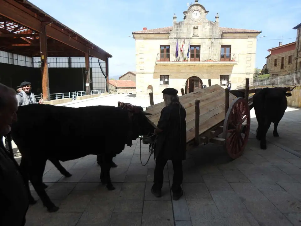 RUTA CARRETERIL 2026 (62)