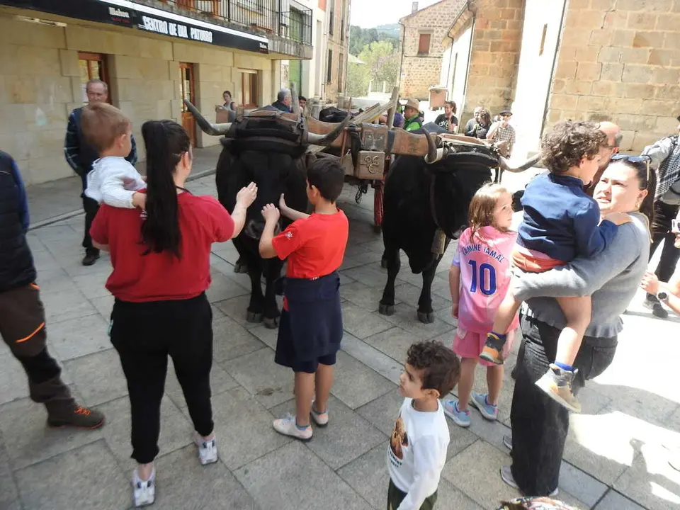 RUTA CARRETERIL 2026 (64)