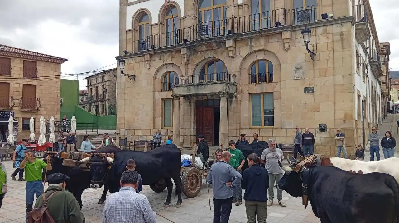 RUTA CARRETERIL 2026 (71)