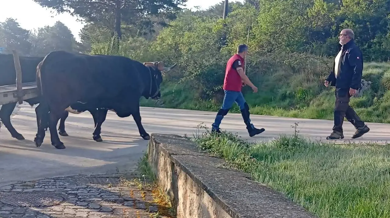 RUTA CARRETERIL 2026 (72)