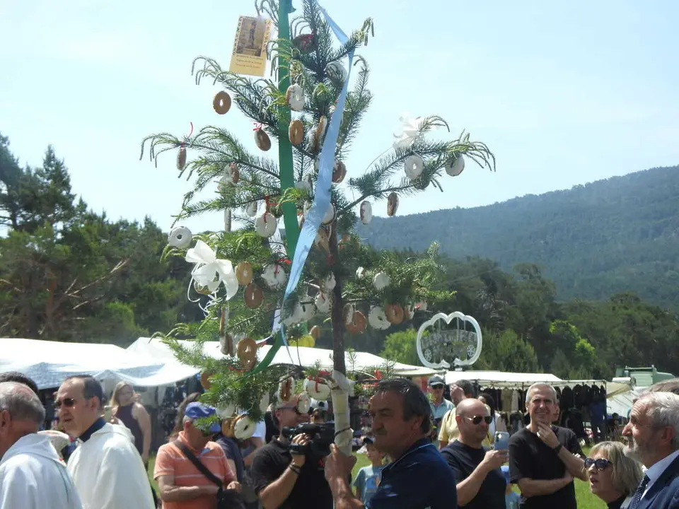 ROMER&Iacute;A DE REVENGA 2026 (67)