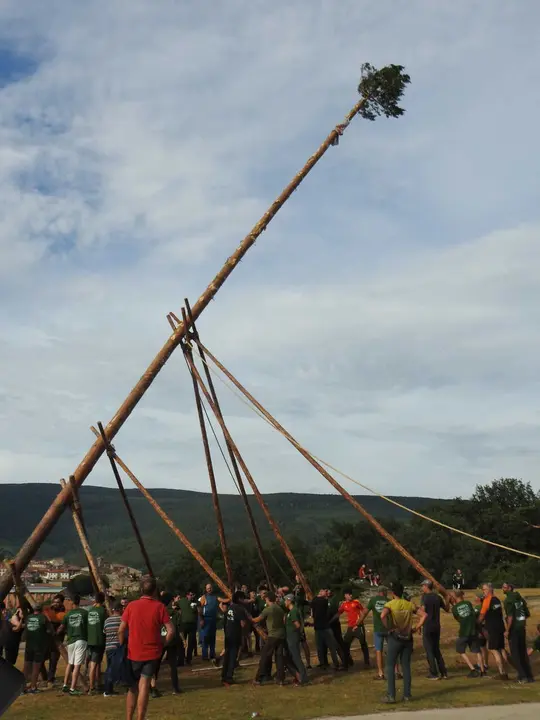 PINGADA DEL MAYO EN COVALEDA (15)