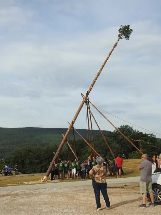 PINGADA DEL MAYO EN COVALEDA (16)
