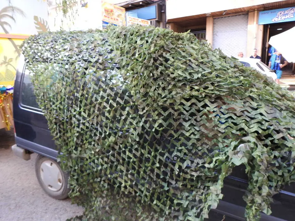 PREG&Oacute;N Y CARROZAS EN SAN LEONARDO (69)