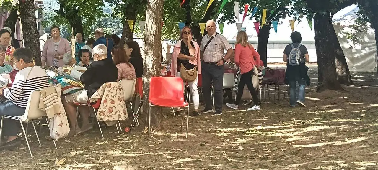 ENCUENTRO ENCAJERAS DE BOLILLOS COVALEDA (32)