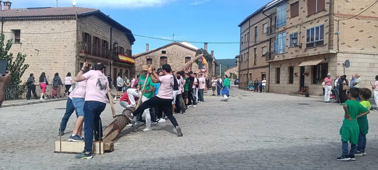 PINGADA DEL PINO MAYO (1)