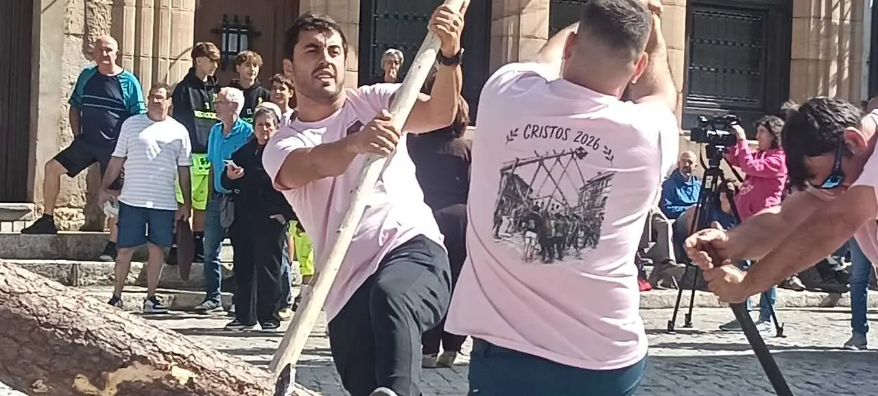 PINGADA DEL PINO MAYO (2)