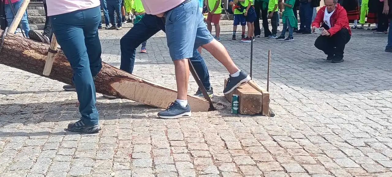 PINGADA DEL PINO MAYO (4)