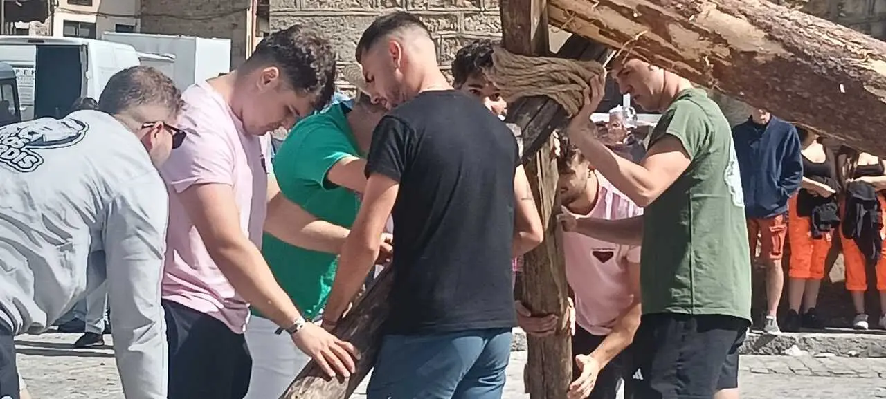 PINGADA DEL PINO MAYO (5)