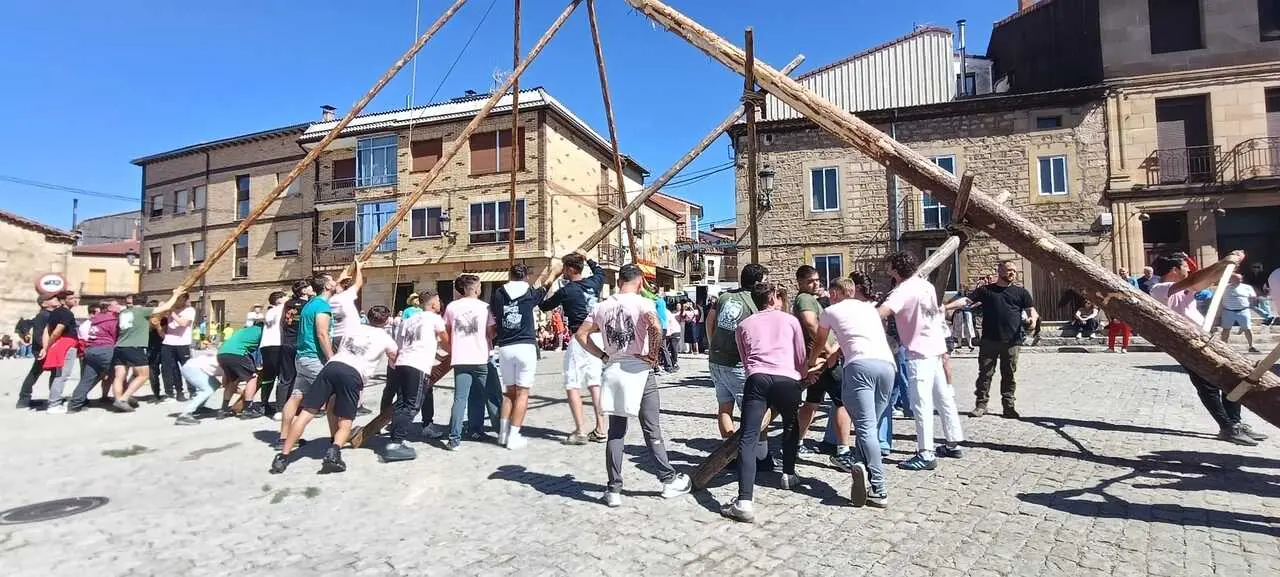 PINGADA DEL PINO MAYO (8)