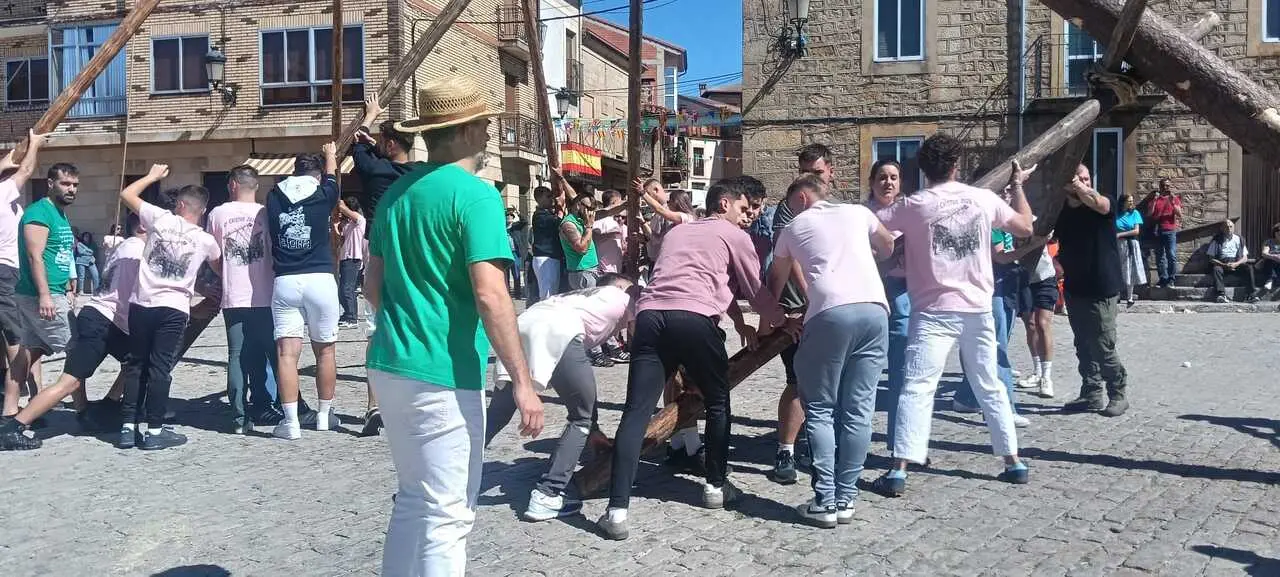 PINGADA DEL PINO MAYO (9)