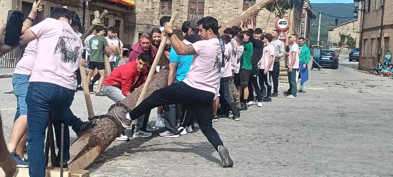PINGADA DEL PINO MAYO (11)
