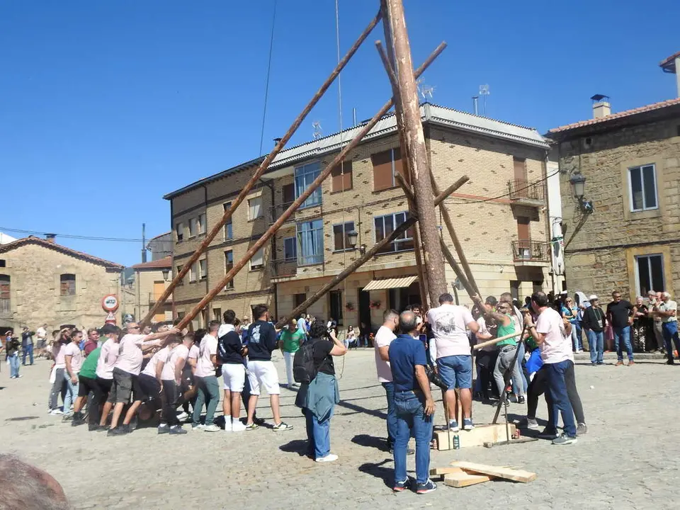 PINGADA DEL PINO MAYO (16)