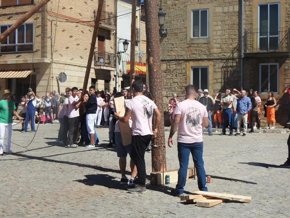 PINGADA DEL PINO MAYO (18)