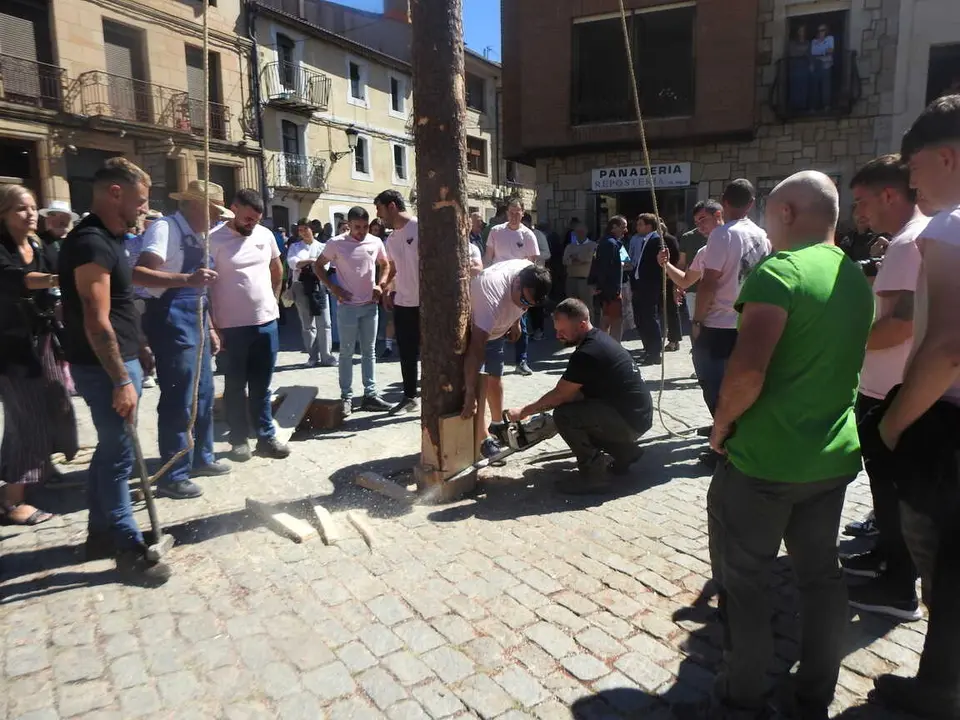 PINGADA DEL PINO MAYO (20)