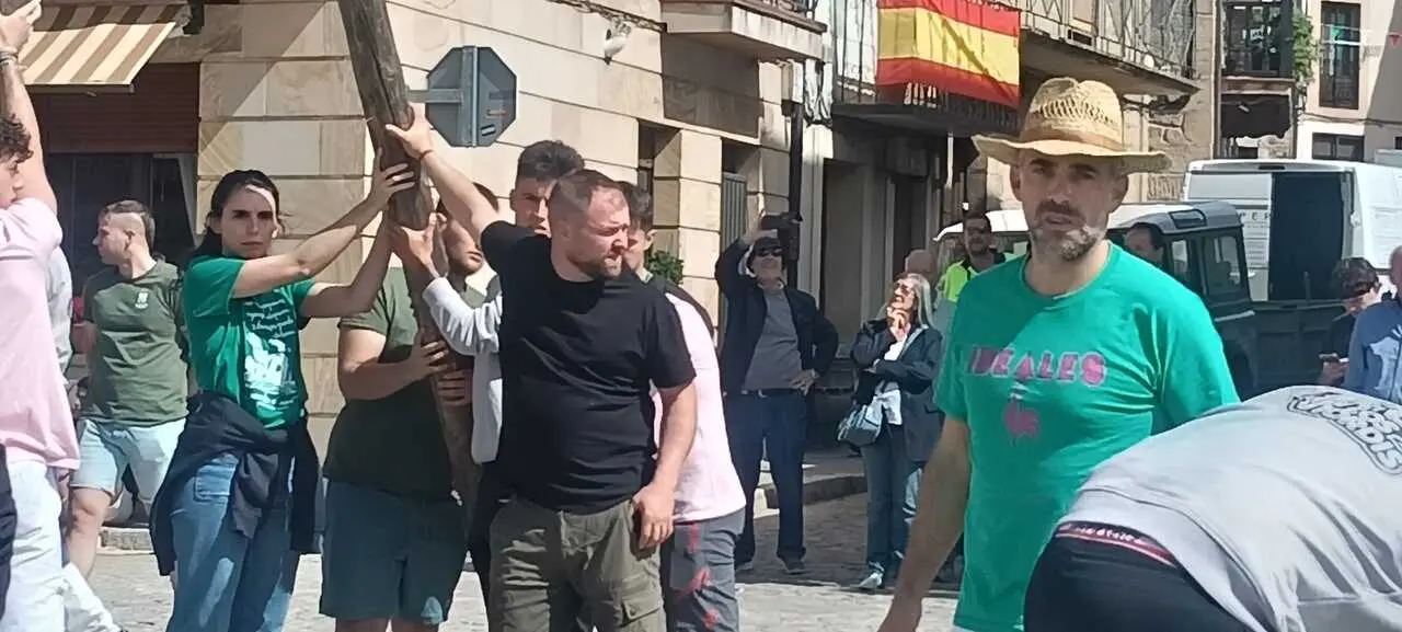 PINGADA DEL PINO MAYO (23)