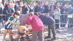 Matanza en Navaleno  (18)