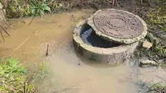 c9f02758-4d3d-4ea1-a485-912c46b7f124