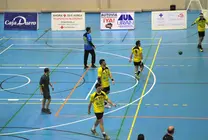 Balonmano Soria